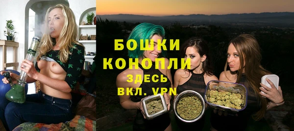 дурь Лагань
